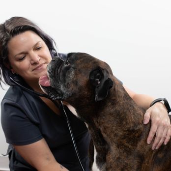 Felix&Fido Veterinary Care - Issaquah - Veterinarians Near Me - Issaquah, Washington Felix&Fido Veterinary Care - Issaquah - Veterinarians Near Me - Issaquah, Washington