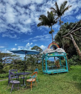 Coconut Glen's by null