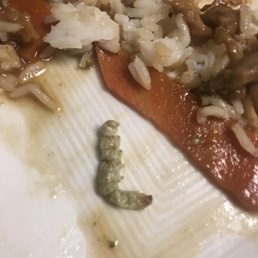 Daily China Express - Bug in my Beef and Broccoli - Chinese Near Me - Los Angeles, California