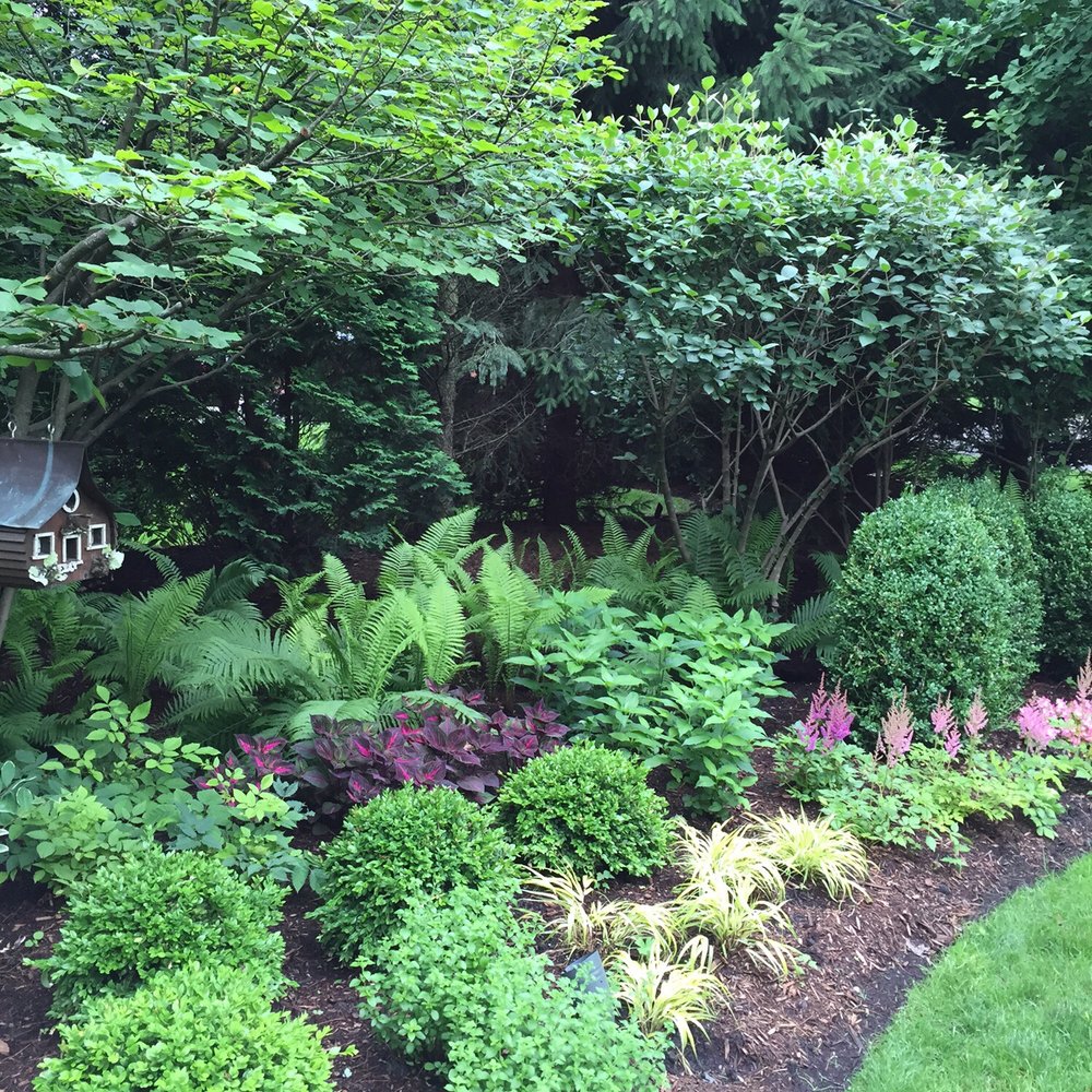 Coventry Gardeners - Still filling in but lovely - Landscaping Near Me - Westmont, Illinois Coventry Gardeners - Still filling in but lovely - Landscaping Near Me - Westmont, Illinois