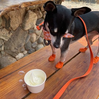 Three Rivers Yogurt - Outdoor seating area - dog friendly - Desserts Near Me - Three Rivers, California Three Rivers Yogurt - Outdoor seating area - dog friendly - Desserts Near Me - Three Rivers, California
