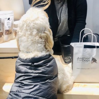 Just Food For Dogs - Baci goes shopping!! - Pet Stores Near Me - Seattle, Washington Just Food For Dogs - Baci goes shopping!! - Pet Stores Near Me - Seattle, Washington