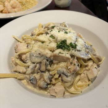 Sparky's Landing - Chicken Alfredo with mushrooms - Steakhouses Near Me - Mount Shasta, California Sparky's Landing - Chicken Alfredo with mushrooms - Steakhouses Near Me - Mount Shasta, California