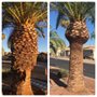 Photo of Trusted Tree Care