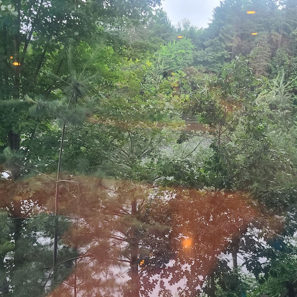 Ishnala - The view is the finish. I could just feel the calmness. - Steakhouses Near Me - Wisconsin Dells, Wisconsin Ishnala - The view is the finish. I could just feel the calmness. - Steakhouses Near Me - Wisconsin Dells, Wisconsin