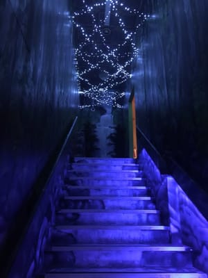 Grand Trailer Park Taverna by null