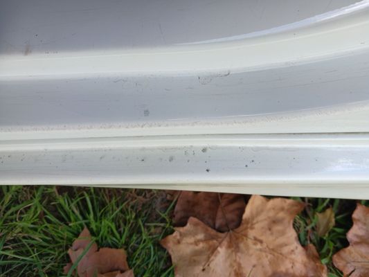 Octopus Car Wash by null