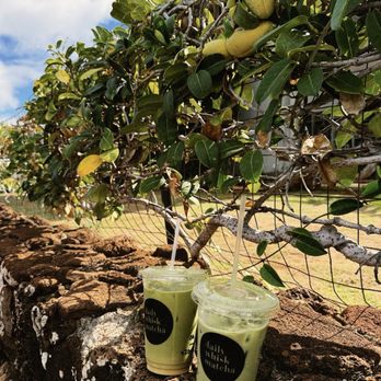 Daily Whisk Matcha - Cafes Near Me - Honolulu, Hawaii