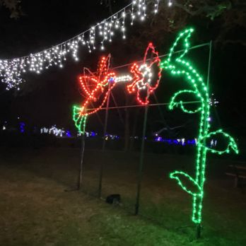 Largo Central Park - Lights - Parks Near Me - Largo, Florida Largo Central Park - Lights - Parks Near Me - Largo, Florida