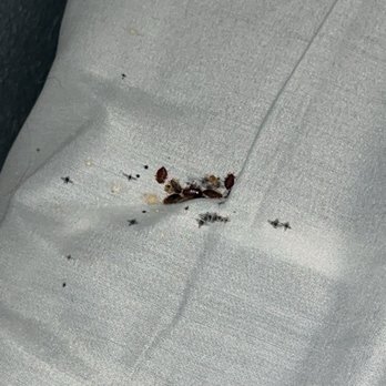 Best Western Downtown Casper Hotel - BEDBUGS!! - Hotels Near Me - Casper, Wyoming Best Western Downtown Casper Hotel - BEDBUGS!! - Hotels Near Me - Casper, Wyoming