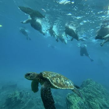 Zephyr Maui - Snorkeling Near Me - Kihei, Hawaii