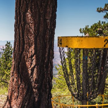 Sky High Disc Golf - Disc Golf Near Me - Wrightwood, California