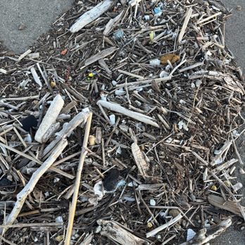 San Leandro Marina - Garbage - Parks Near Me - San Leandro, California San Leandro Marina - Garbage - Parks Near Me - San Leandro, California