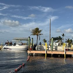 Kings Kamp RV Park and Marina