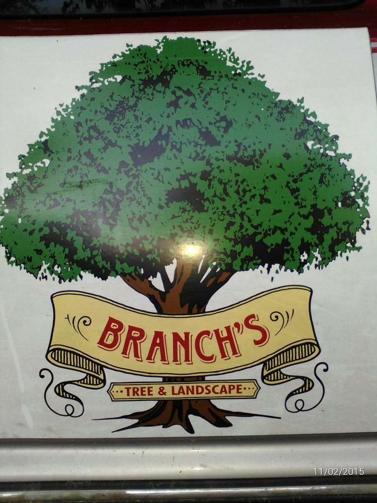 BRANCHS LANDSCAPING Wichita, Kansas Tree Services Phone Number Yelp