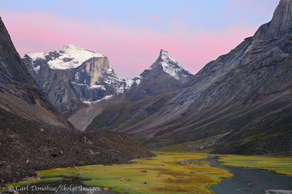 Expeditions Alaska by null