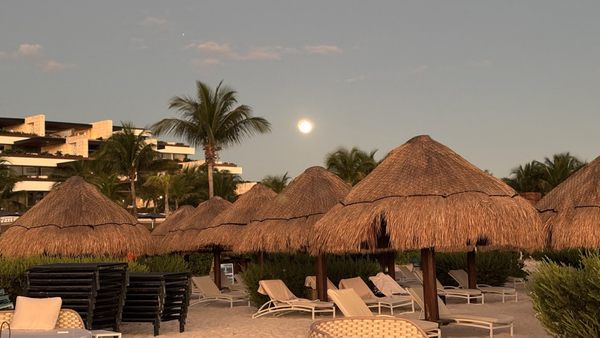 Atelier Playa Mujeres by null