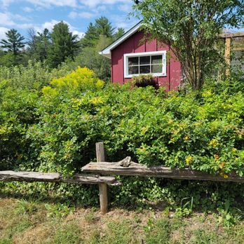 Pine Farms Orchard - Cafes Near Me - King City, Ontario