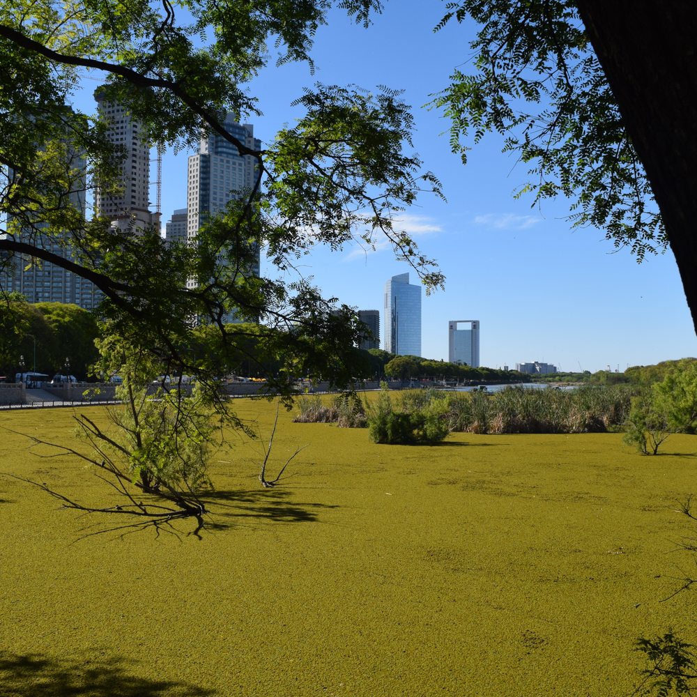 Reserva Ecológica - Botanical Gardens Near Me - Buenos Aires, C
