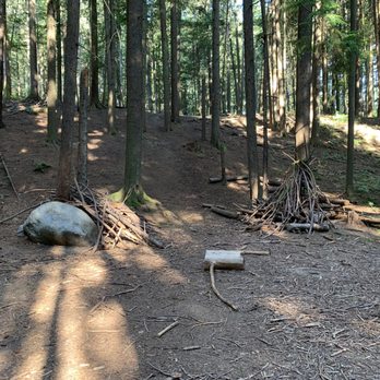 Hamlin Park - Some humans had fun with wood! - Parks Near Me - Seattle, Washington Hamlin Park - Some humans had fun with wood! - Parks Near Me - Seattle, Washington
