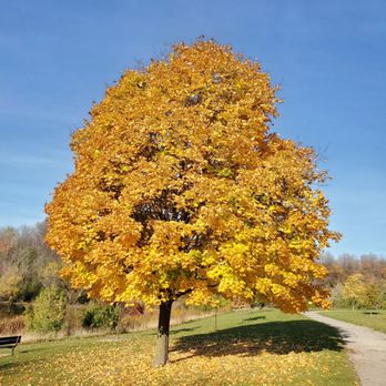 L'Amoreaux Park - Parks Near Me - Toronto, Ontario L'Amoreaux Park - Parks Near Me - Toronto, Ontario