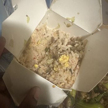 Canton Palace Chinese Restaurant - Yeung fried rice - Dim Sum Near Me - Miami, Florida