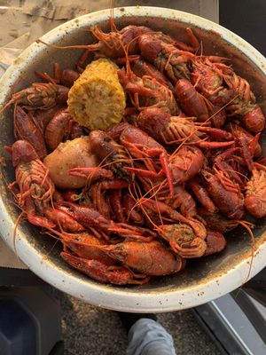 DAT 337 Creole Cookery by null