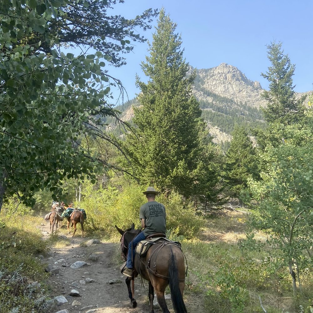 Paintbrush Adventures - Rafting/Kayaking Near Me - Absarokee, Montana Paintbrush Adventures - Rafting/Kayaking Near Me - Absarokee, Montana