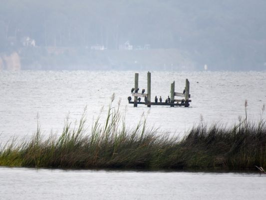 Belle Isle State Park by null
