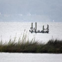 Belle Isle State Park