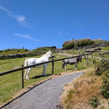 Irish Famine Cottages - Ponies at the Animal Park - Landmarks & Historical Buildings Near Me - Dingle, Kentucky