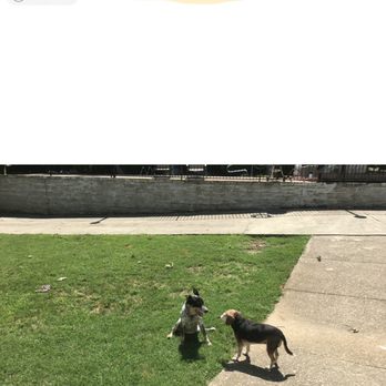 TruGreen Lawn Care - Note date stamp. June 2017 - Tree Services Near Me - Acworth, Georgia