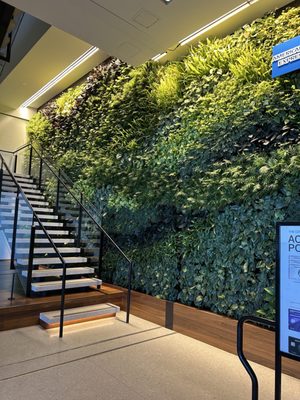 Centurion Lounge by null