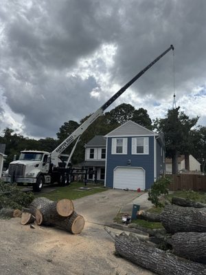 Elite Tree Service