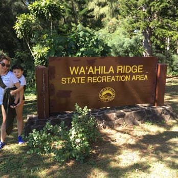Waʻahila Ridge State Recreation Area - Me and my koala - Hiking Near Me - Honolulu, Hawaii Waʻahila Ridge State Recreation Area - Me and my koala - Hiking Near Me - Honolulu, Hawaii