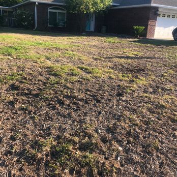 TruGreen Lawn Care - Completely dead lawn - Lawn Services Near Me - Pensacola, Florida TruGreen Lawn Care - Completely dead lawn - Lawn Services Near Me - Pensacola, Florida