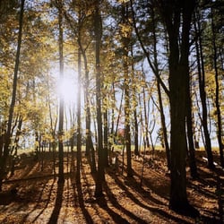 Ward Reservation - 11/2015