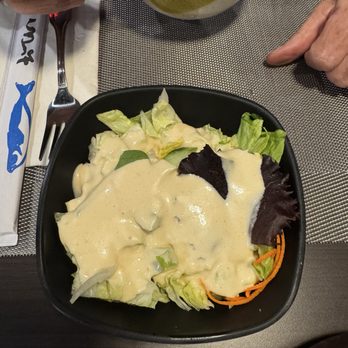 Hanabi Sushi Hibachi Ramen - Salad - Asian Fusion Near Me - Hudson, Florida