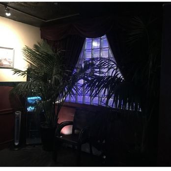 Jungle Bamboo & Palm Nursery - Palms bought from Andy , 3 plus years ago ! - Nurseries & Gardening Near Me - Cotati, California Jungle Bamboo & Palm Nursery - Palms bought from Andy , 3 plus years ago ! - Nurseries & Gardening Near Me - Cotati, California