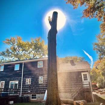 R&L tree service - Tree Services Near Me R&L tree service - Tree Services Near Me