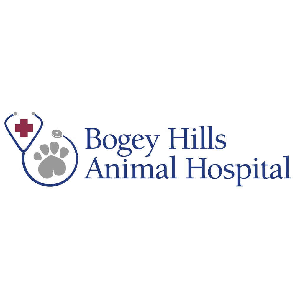 Bogey Hills Animal Hospital - pet boarding facility in St. Charles, MO