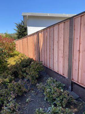 Fences - Think of a fence as the frame around your home—subtle, practical, and more important than it looks. It creates privacy, softens wind and sun, and keeps everyday life feeling organized and secure. Our redwood fences are built for real life: naturally resistant to pests, tough against weather, and undeniably easy on the eyes. With rich color and distinctive grain, redwood ages beautifully—so your fence looks welcoming on day one and even better years down the road.
Crafted with care, installed with precision, and designed to suit your space, it’s the kind of upgrade your home—and your neighborhood—will appreciate.

Features of Fences-
Fences serve as versatile property enhancements, primarily defining boundaries and boosting privacy. They also provide crucial security and safety for families and pets, while simultaneously elevating a home's aesthetic appeal and offering practical shelter from the elements.
-Property Definition
-Privacy and Seclusion
-Security and Safety
-Aesthetic Enhancement
-Shelter and Environmental Protection

Call today to schedule a free estimate- 650-201-5504
