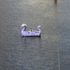 National Aquarium gift card
