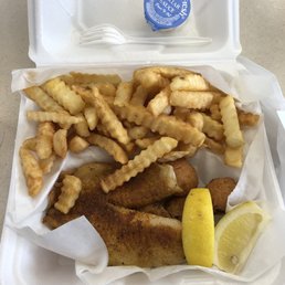 Tilapia