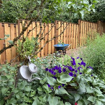 Hedgehog Home Services - Image of the fence Hedgehog just completed. - Handyman Near Me - Hillsboro, Oregon Hedgehog Home Services - Image of the fence Hedgehog just completed. - Handyman Near Me - Hillsboro, Oregon