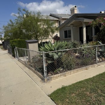 LJ’S Landscaping - Before- overgrowth - Landscaping Near Me