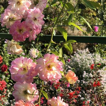 Jardins et Maison de Claude Monet - Museums Near Me - Giverny, 27