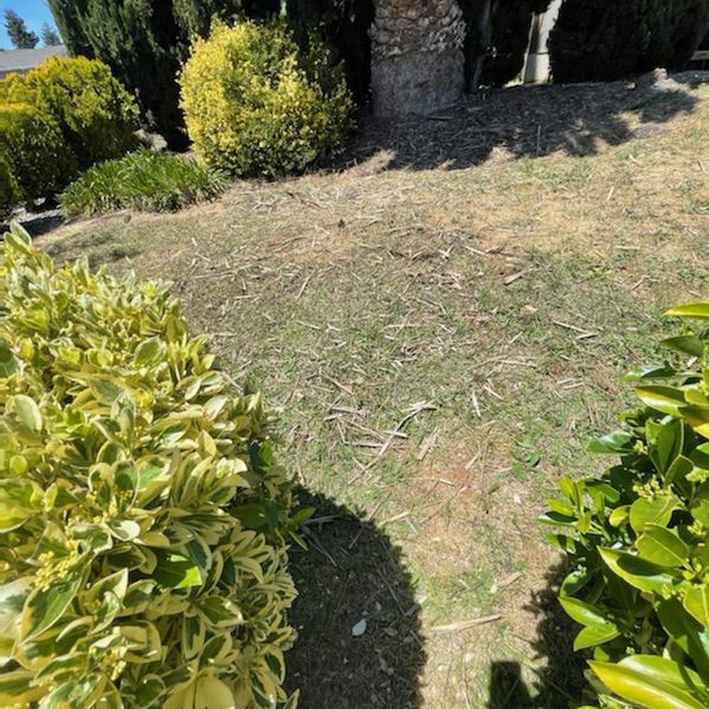 Ready Set Junk - After. - Junk Removal & Hauling Near Me - Hayward , California Ready Set Junk - After. - Junk Removal & Hauling Near Me - Hayward , California