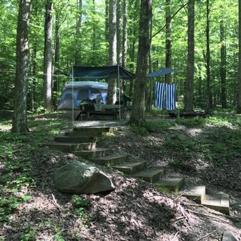 Cosby Campground - Our tent - Recreation Centers Near Me - Hartford, Tennessee
