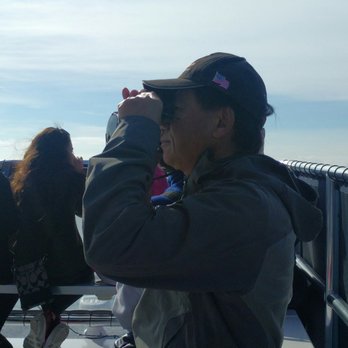 Oceanside Adventures - If you have binoculars bring them - Boat Charters Near Me - Oceanside, California